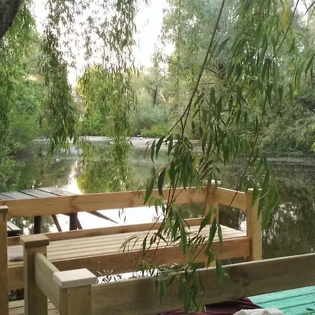 Dacha Guest house *